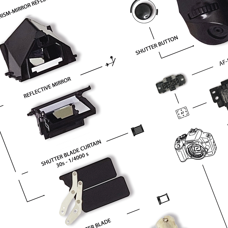 Formato Estándar Cámara Fotográfica  EOS Rebel t3 4