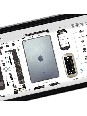 Formato Medio Apple Ipad + Magic Mouse