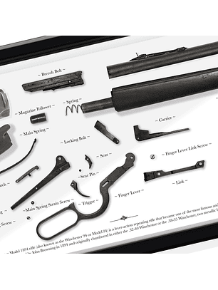 Gran Formato Rifle Winchester 1894