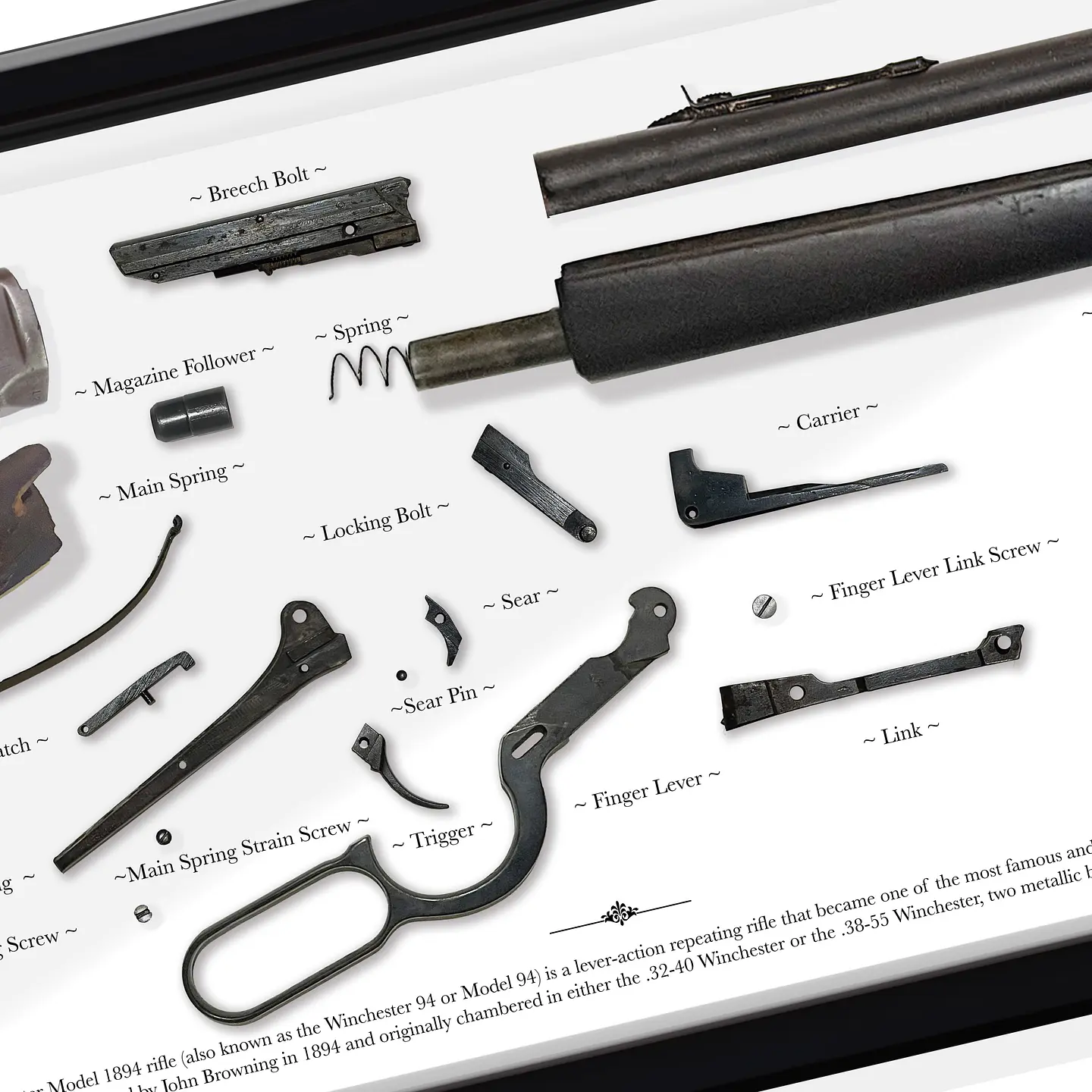 Gran Formato Rifle Winchester 1894 2