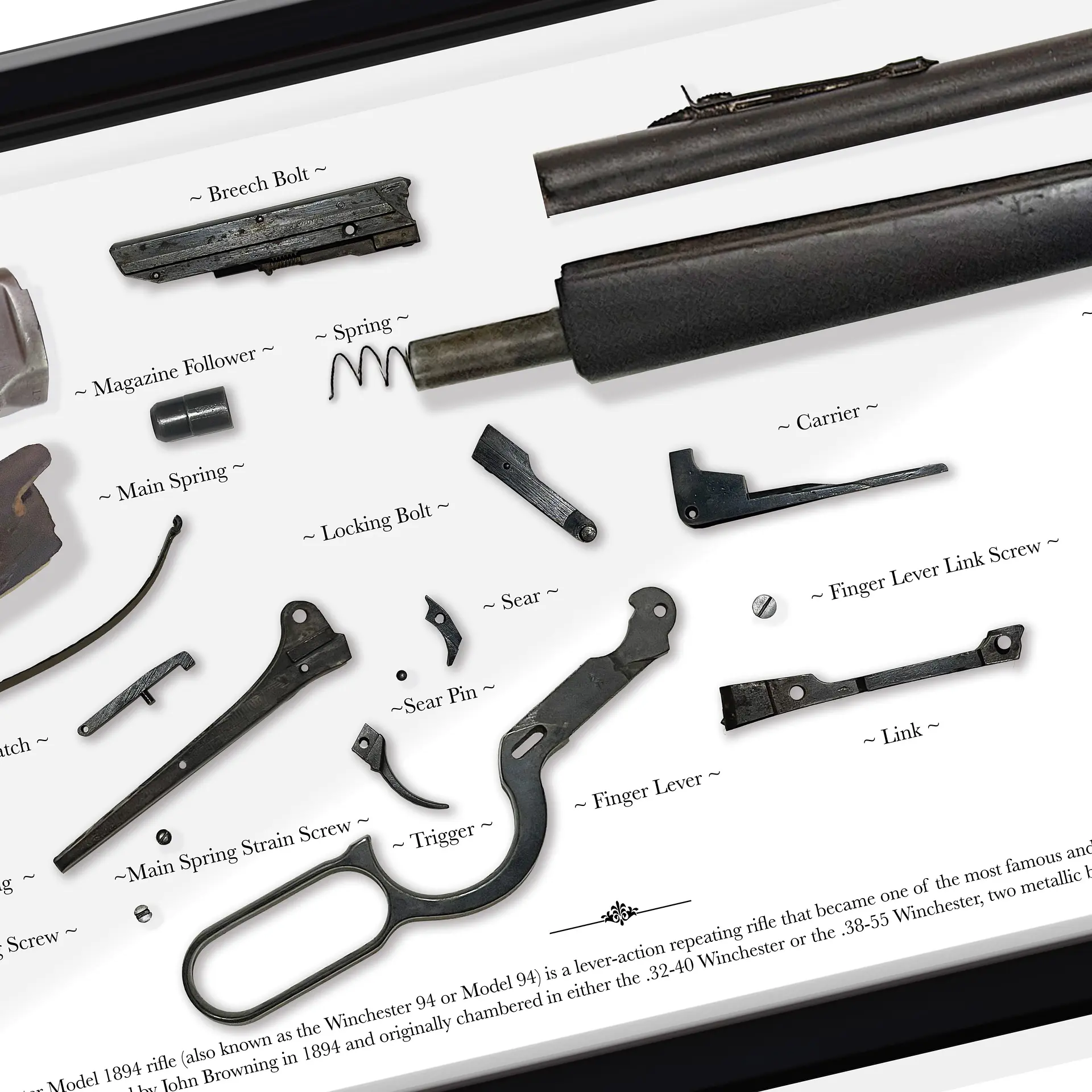 Gran Formato Rifle Winchester 1894 2