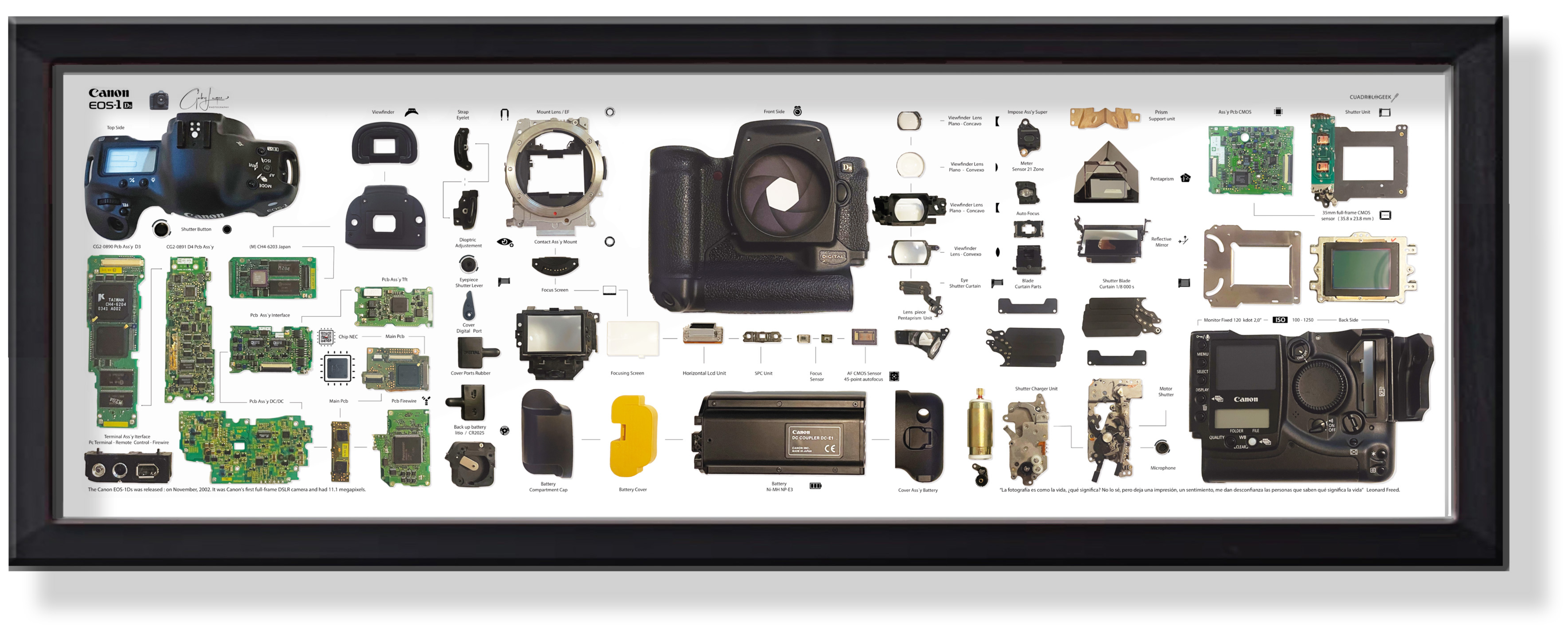 Gran Formato Cámara Canon 1-ds Digital Full Frame 1