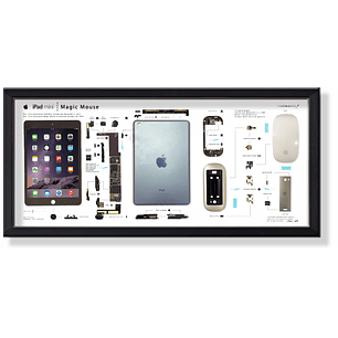 Formato Medio Ipad + Magic Mouse