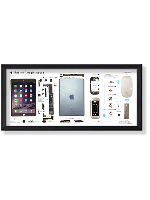 Formato Medio Apple Ipad + Magic Mouse