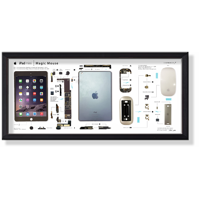 Formato Medio Apple Ipad + Magic Mouse 1