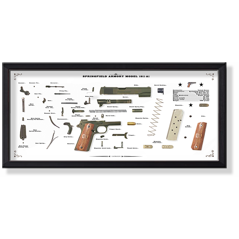  Formato Medio Pistola Springfield 1911-A1 1