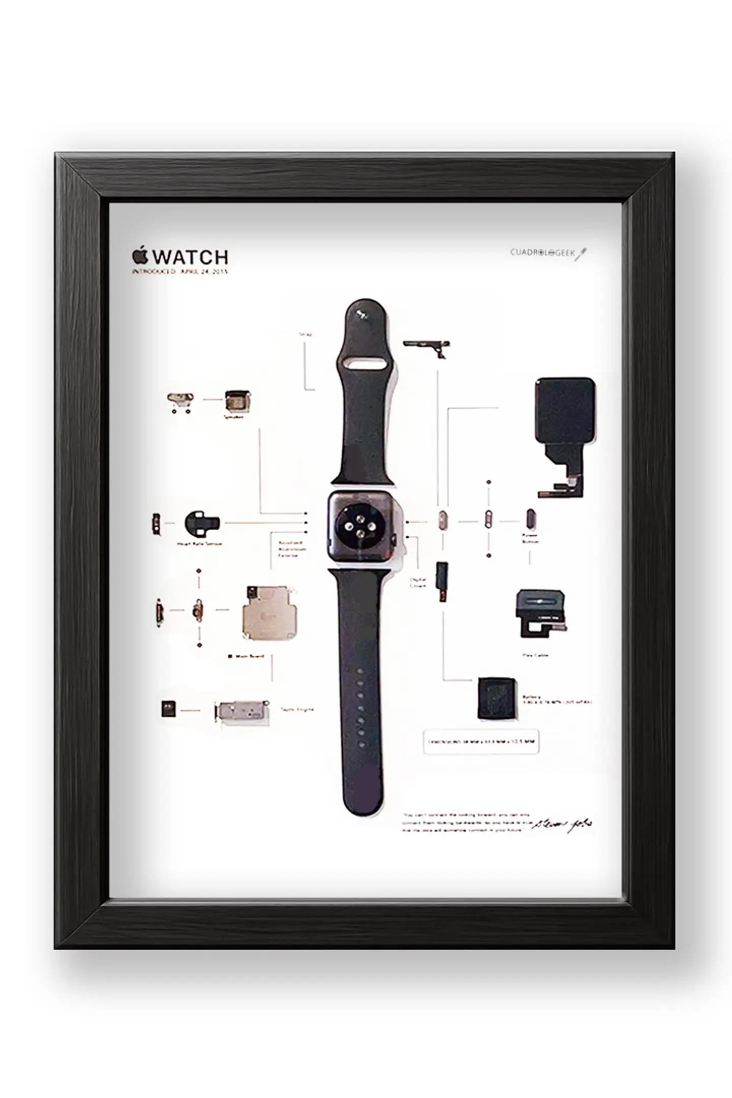 Formato Estándar Apple Watch 1