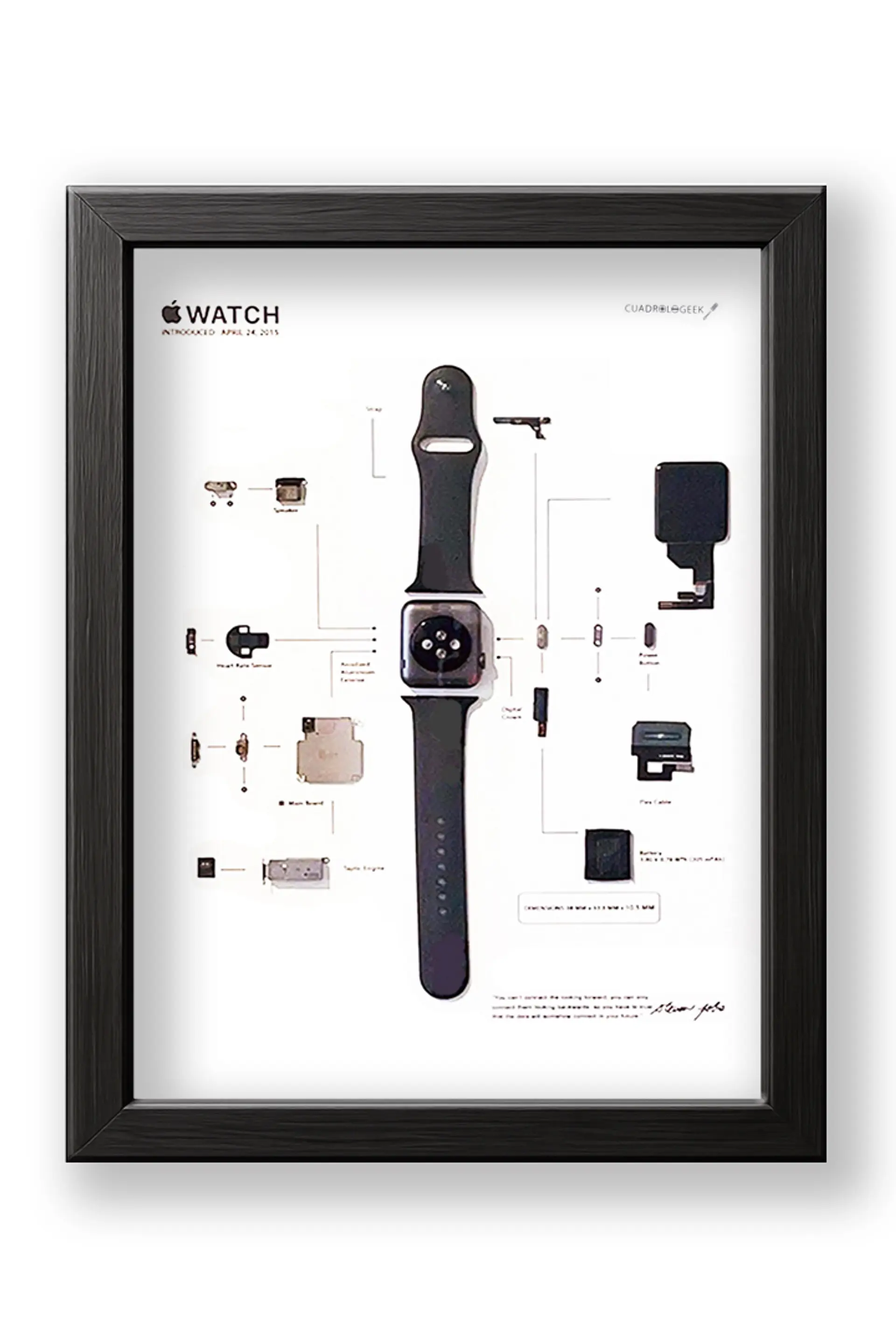 Formato Estándar Apple Watch 1