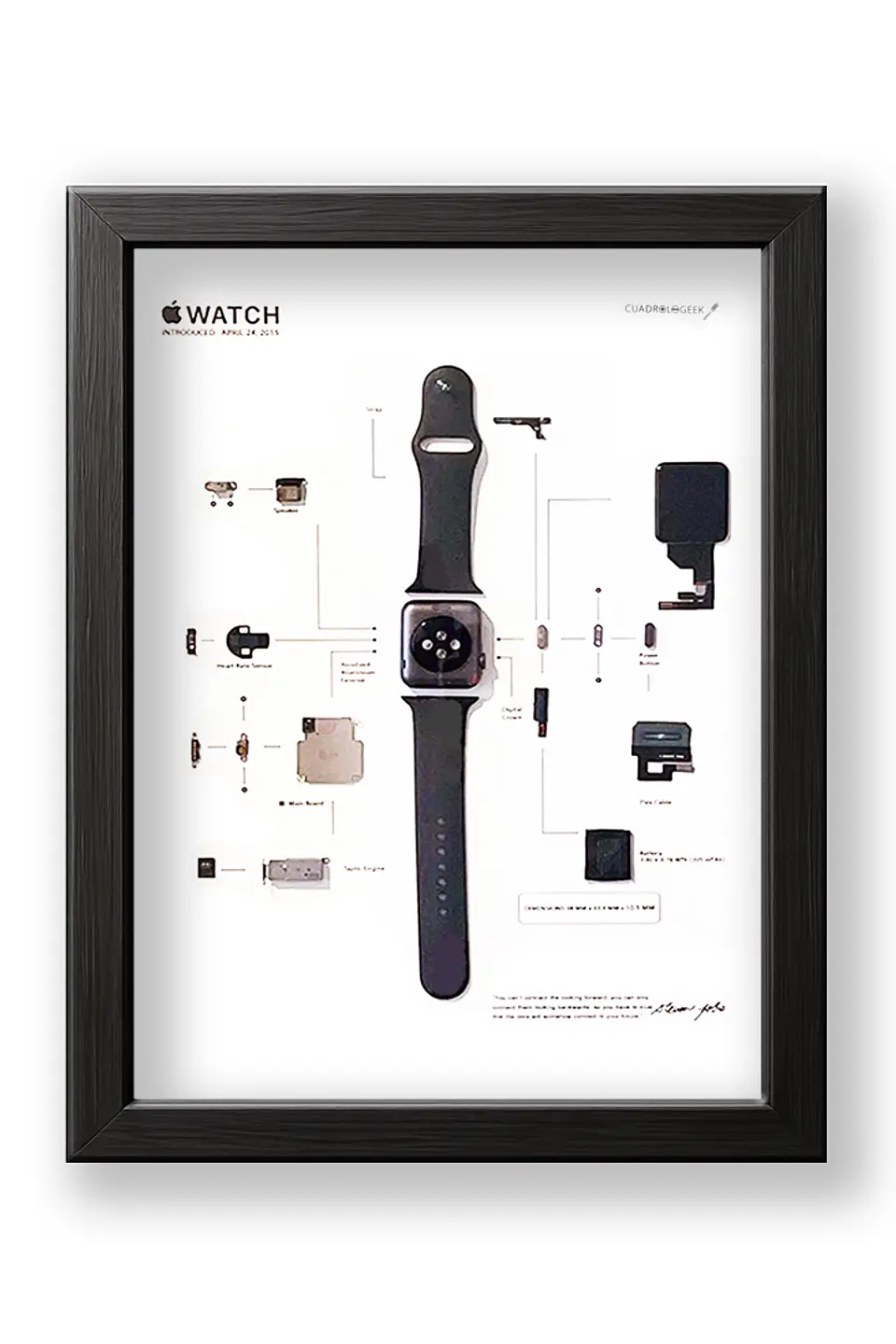 Formato Estándar Apple Watch 1