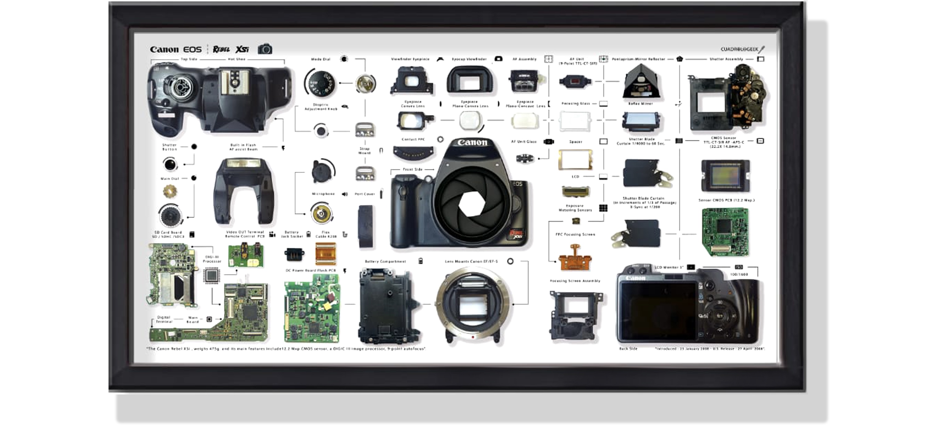 Formato Medio Cámara fotográfica Canon Rebel XSI 1