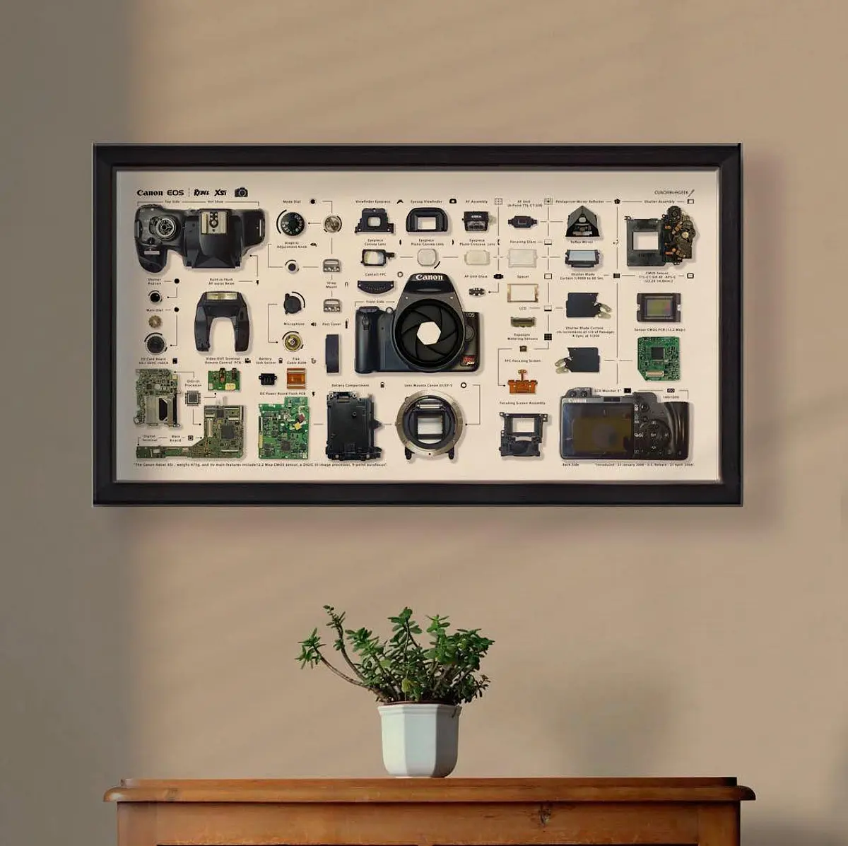 Galeria