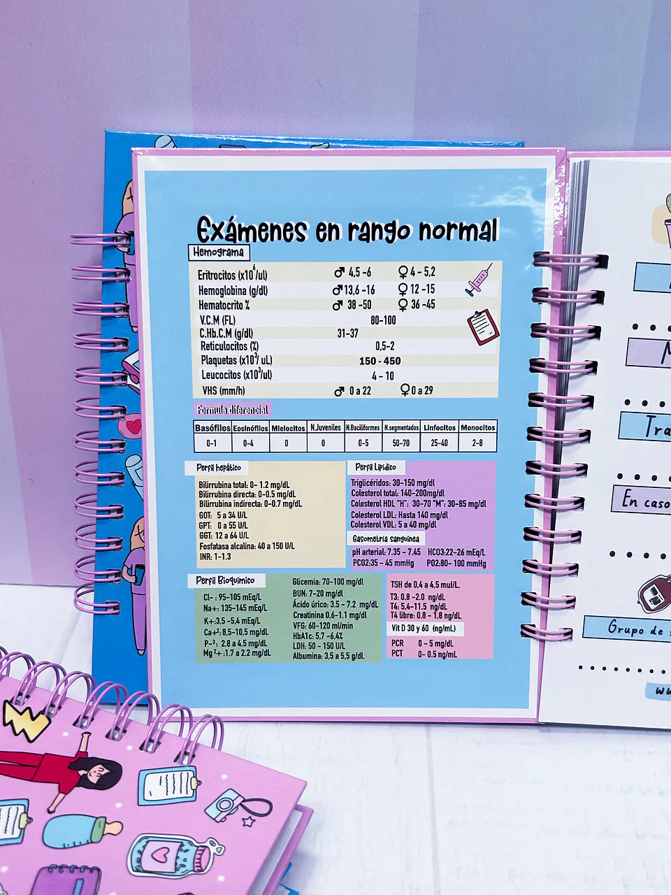 Libreta Kinesiólogo, tamaño grande 2
