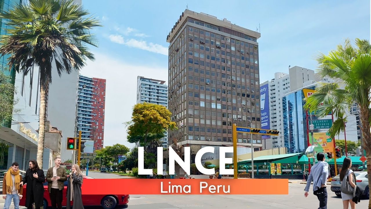Lince una gran y bella alternativa