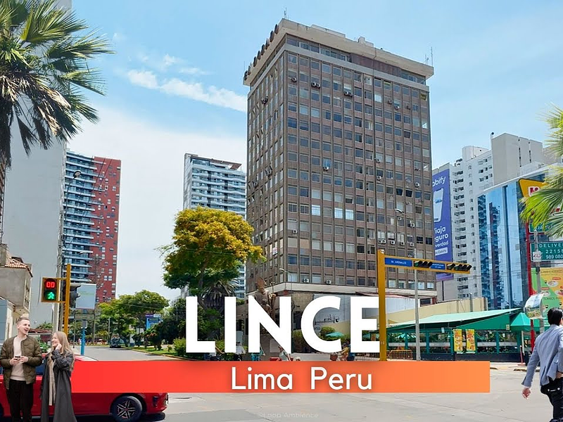 Lince una gran y bella alternativa