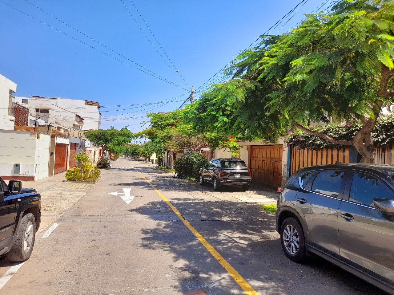 Edificio Winternitz 14