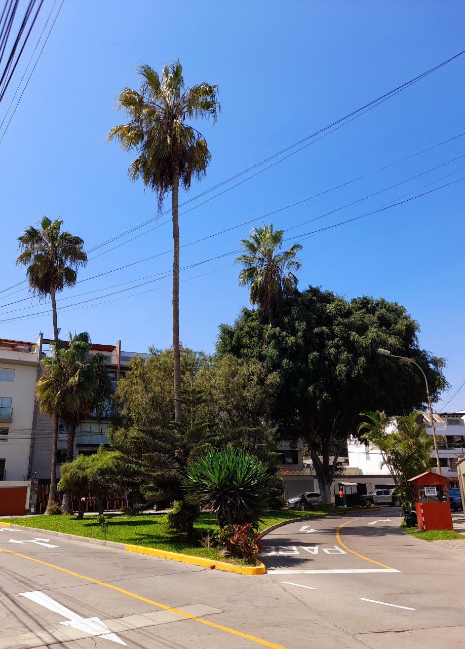 Edificio Winternitz 15