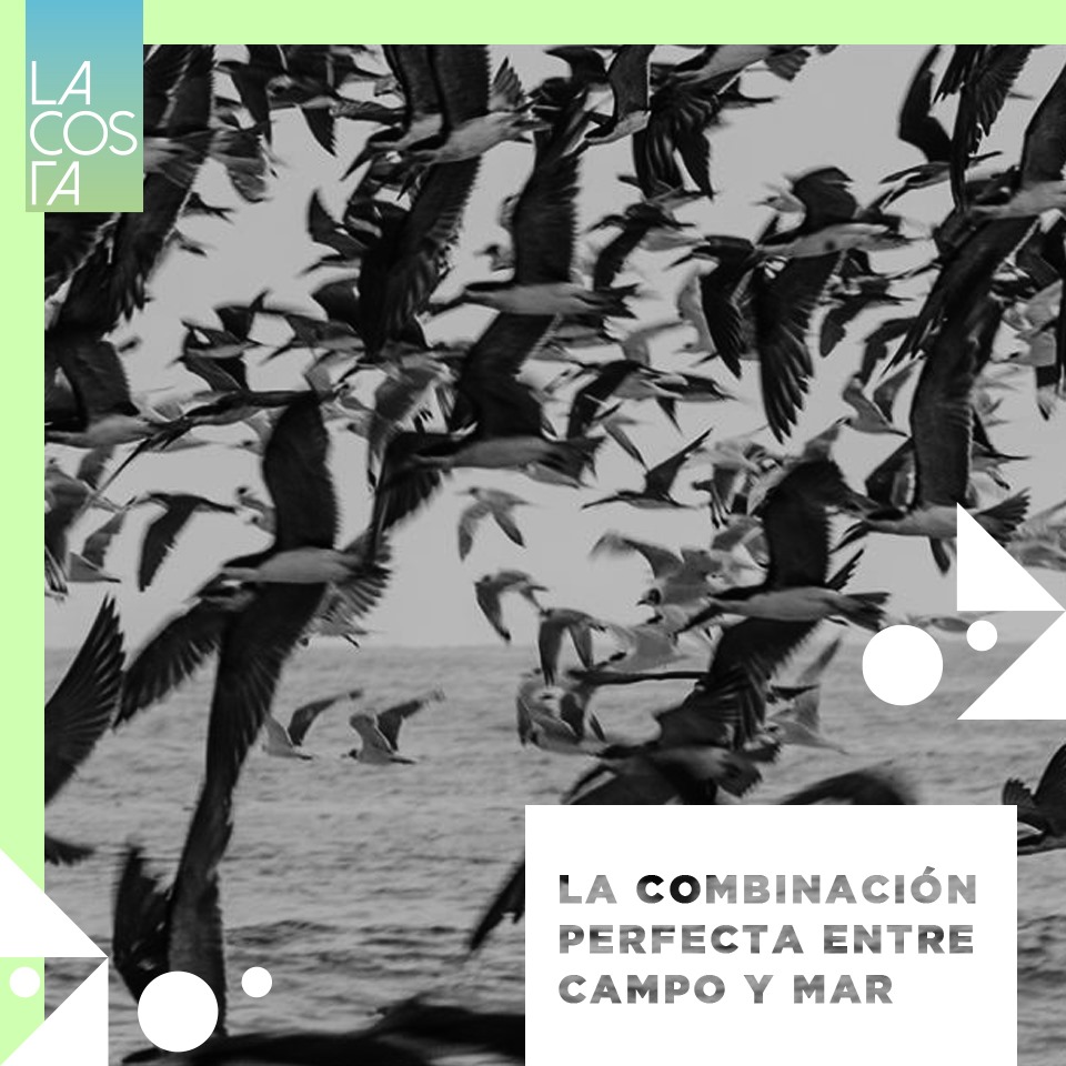 Condominio La Costa 5