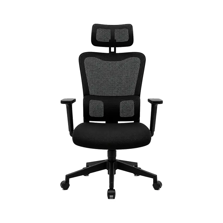 Silla Ergonómica Ejecutiva Premium 1