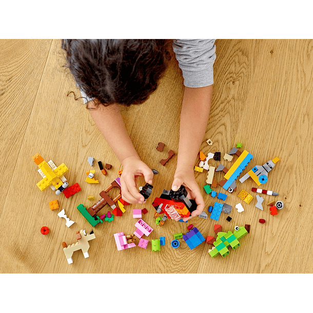 Conjunto de Peças Básico 4