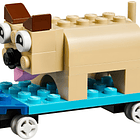 Peças sobre Rodas 6