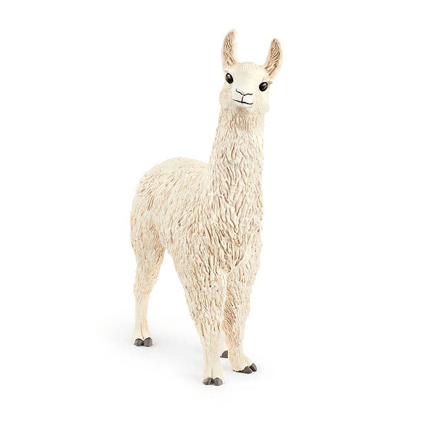 Llama 