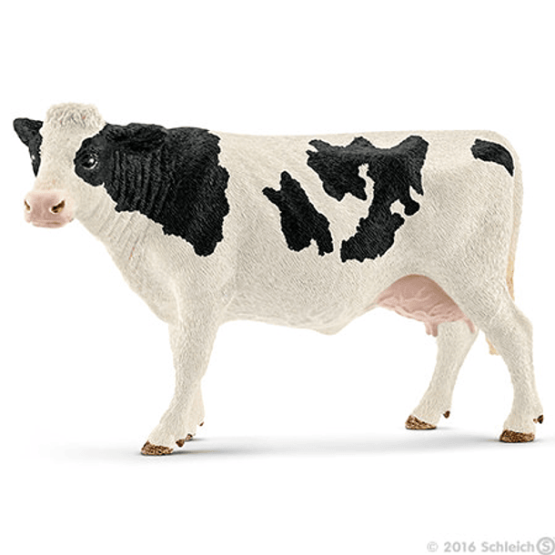 Vaca Holstein 