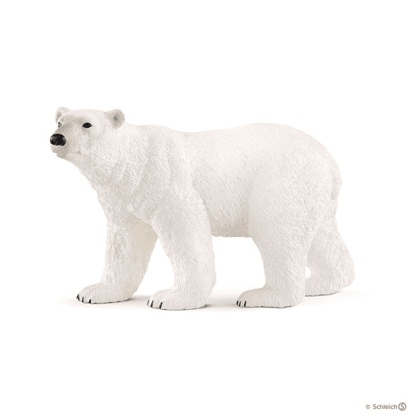 Urso Polar 