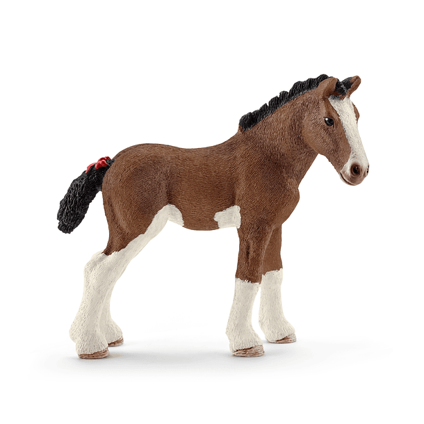 Potro Clydesdale 