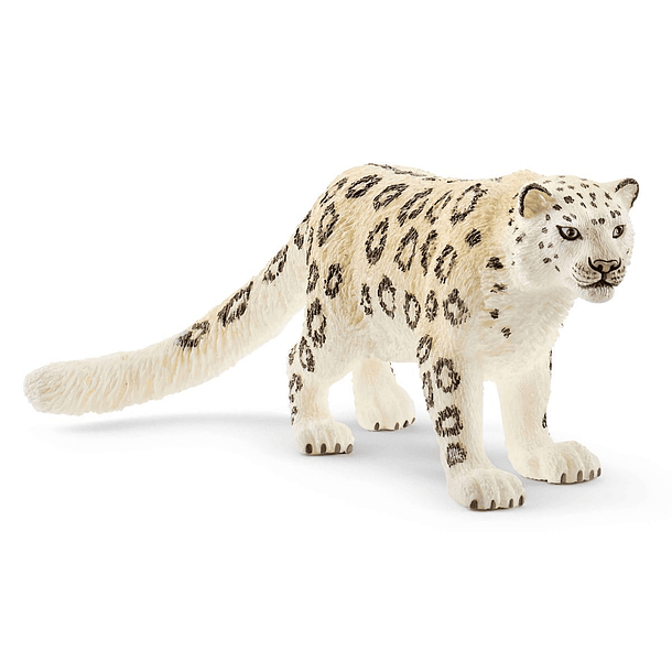 Leopardo das Neves 