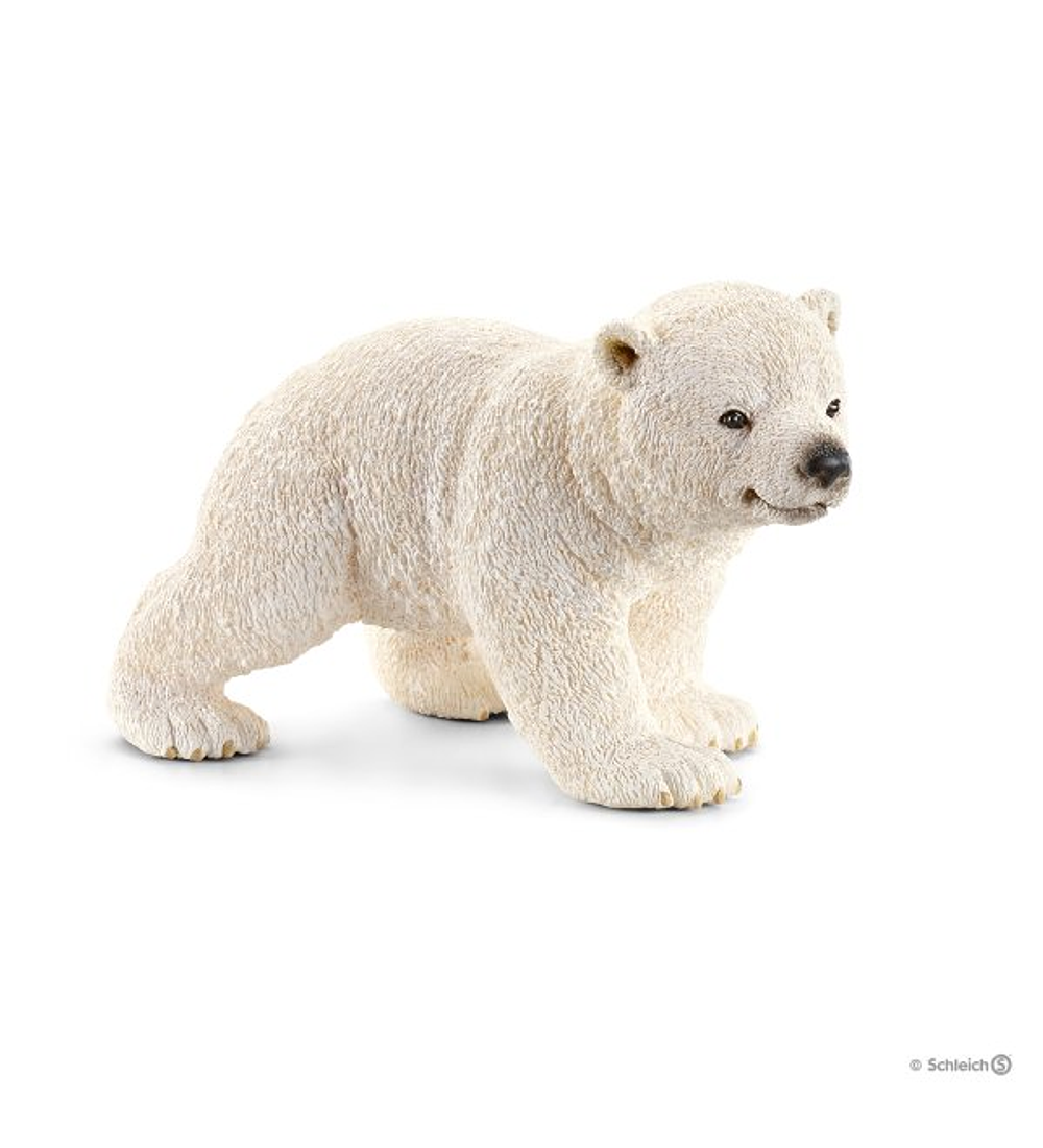 Urso Polar, cria