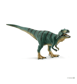 Tyrannosaurus Rex juvenil