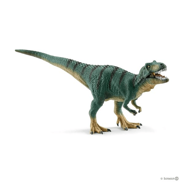 Tyrannosaurus Rex juvenil 
