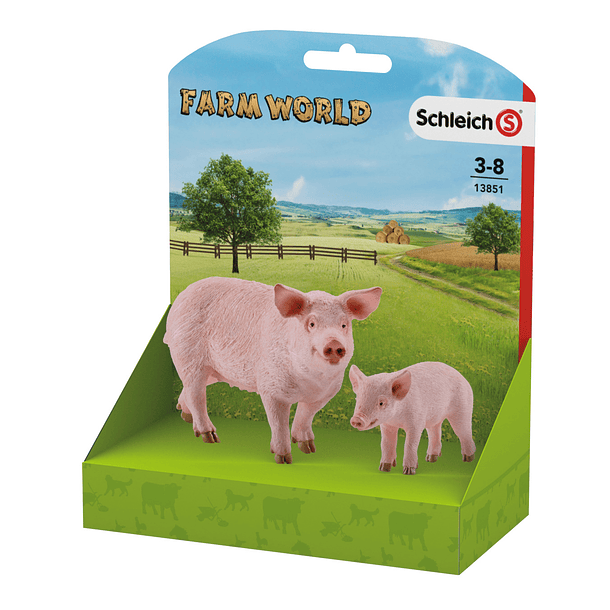 Porco e Cria em Caixa 