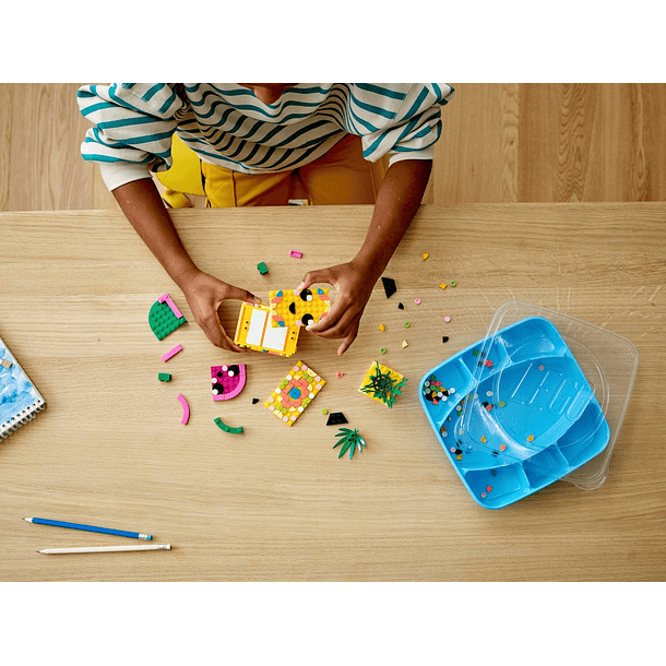 Porta-Lápis Abacaxi 4