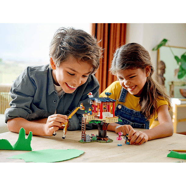 Safari Casa na Árvore 4