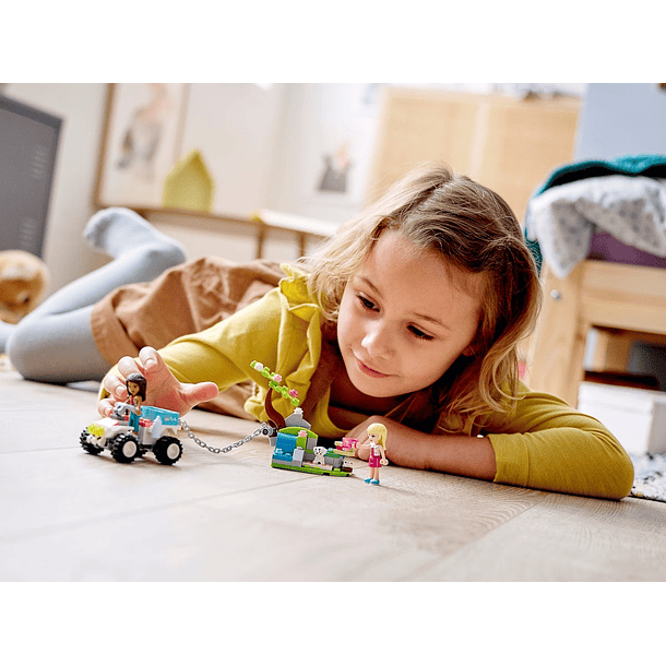 Buggy de Resgate da Clínica Veterinária 4