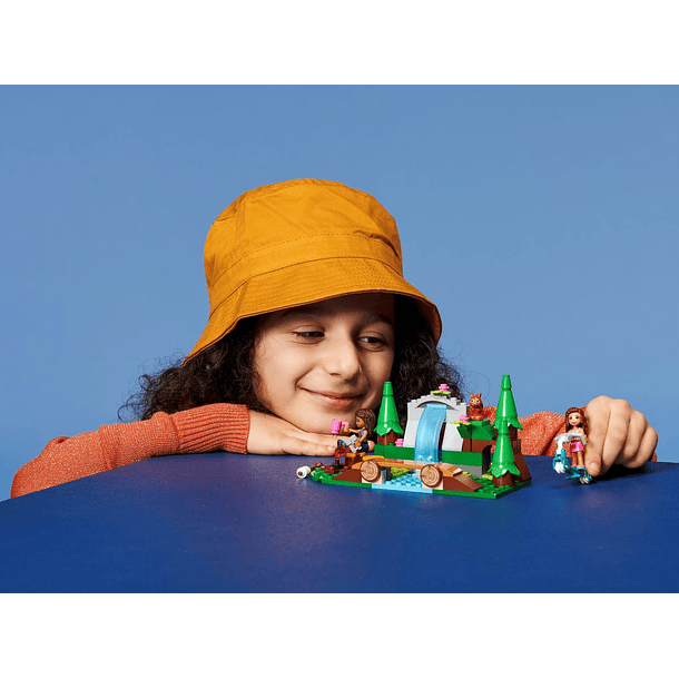 Queda de Água na Floresta 4