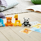 Comboio de Animais 4