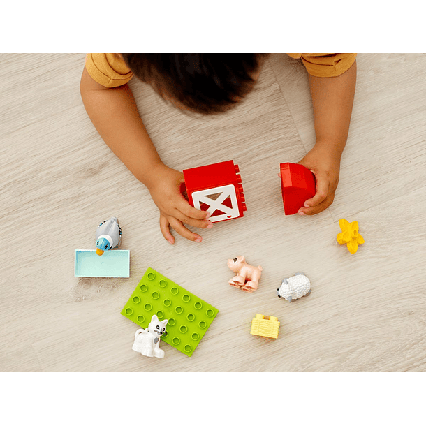 Cuidar dos Animais da Quinta 3