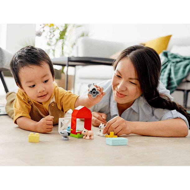 Cuidar dos Animais da Quinta 4