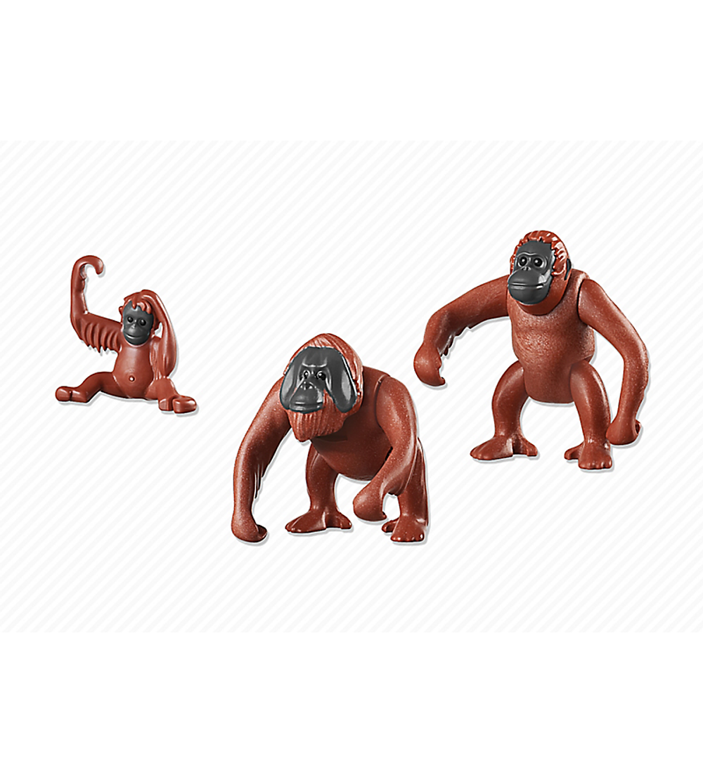 Família de Orangotangos
