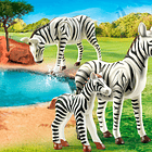 Zebras com Bebé 2