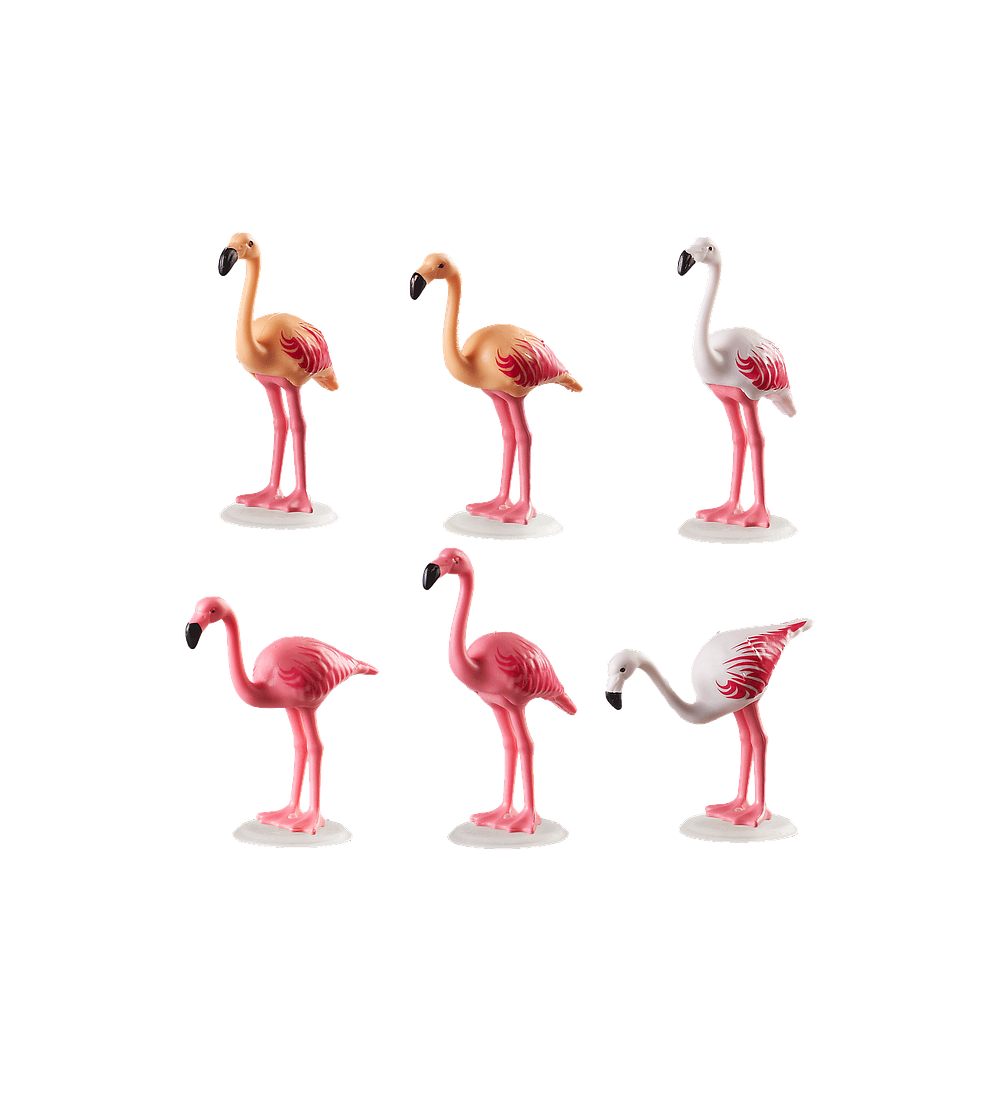 Bando de Flamingos