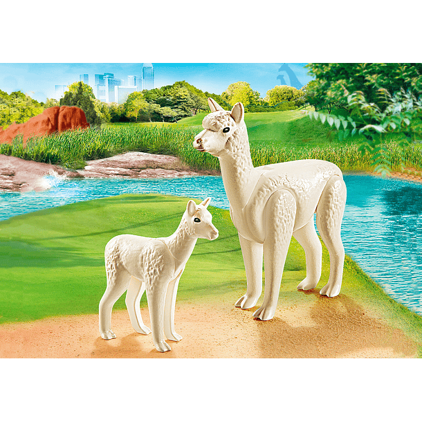 Alpaca e Bebé 3