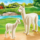 Alpaca e Bebé 3