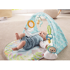 Fisher-Price - Ginásio Sons da Natureza