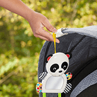 Panda de Passeio 4