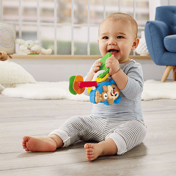 Chaveiro do Cãozinho 5