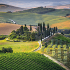 Puzzle 1000 pçs - Tuscany 2