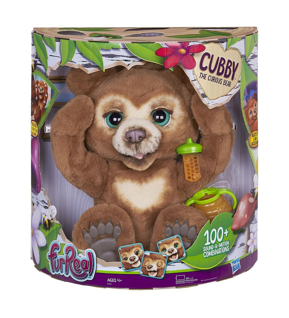Urso Cubby